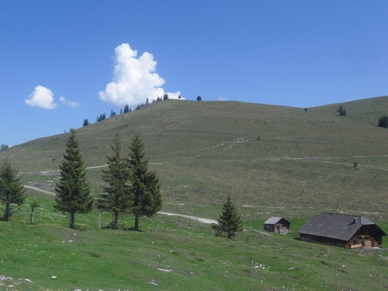 Postalm Rundweg 5
