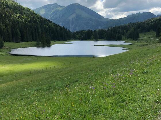Seewaldsee