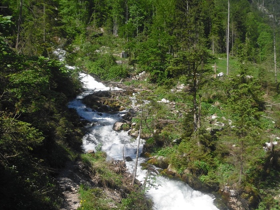 Tricklfall