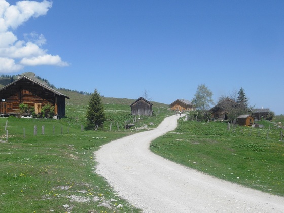 Postalm Rundweg 4