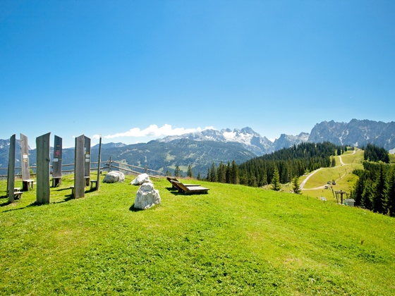 Blick auf Dachstein