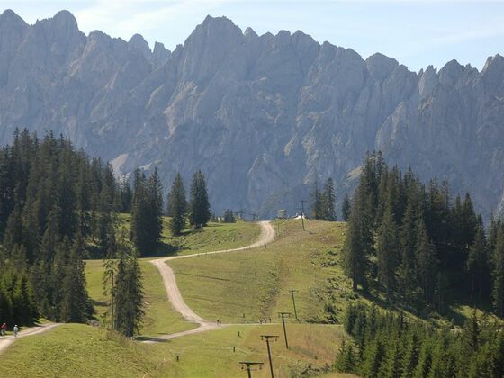Blick auf den Gosaukamm