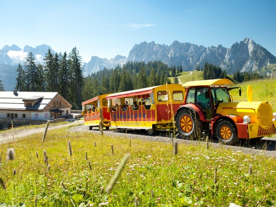Zwieselalm