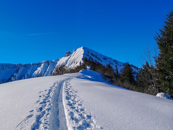 Die Route führt logisch über den Rücken und wird immer schmäler bis zum Grat hin.