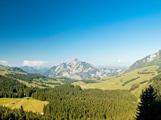 Panorama Postalm