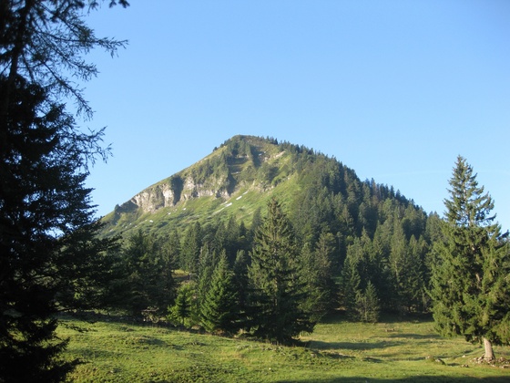 Königsberghorn