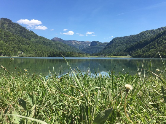 Blick vom Nordufer Richtung Hinterssee - im Hintergrund der Feichtenstein und das Königsberghorn