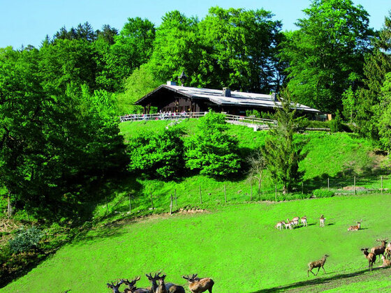 Wolfschwang Wanderung