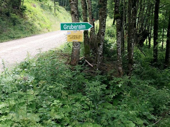 Richtung Gruberalm