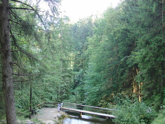 Staubecken oberhalb des Wasserfalls