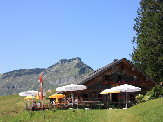 Bergalm mit Schmittenstein im Hintergrund