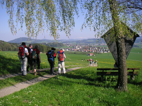 VIA NOVA_ Sbg_Koestendorf_Wetterkreuz_ Franzenbauer