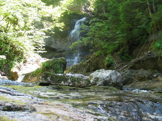 Wald Wasser Zauber Weg