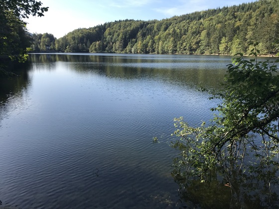 Nussensee