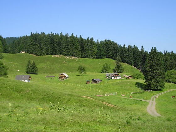 MIttereggalm