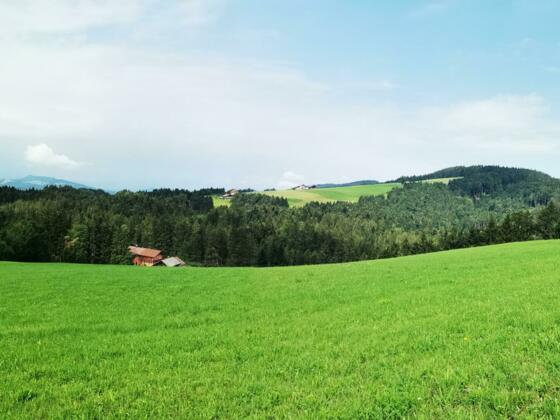 Aussicht auf Wiesen und Wälder