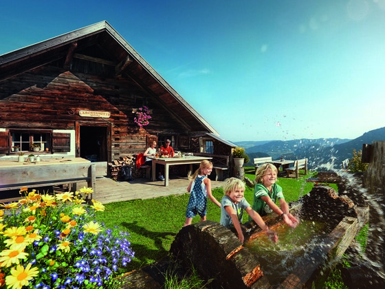 Lärchenhütte auf der Sausteigalm