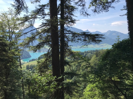 View of Schwarzensee Lake