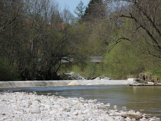 Die Traun