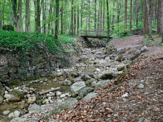 Verschlungene Wege im Aigner Park