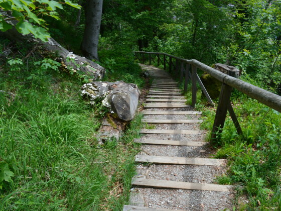 Treppenaufgang