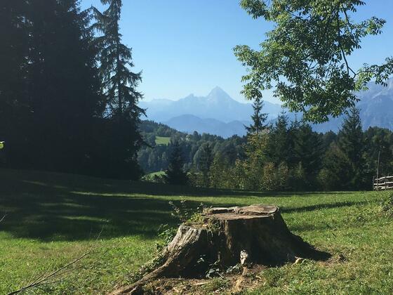 Blick auf den Watzmann