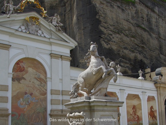 Pferdeschwemme