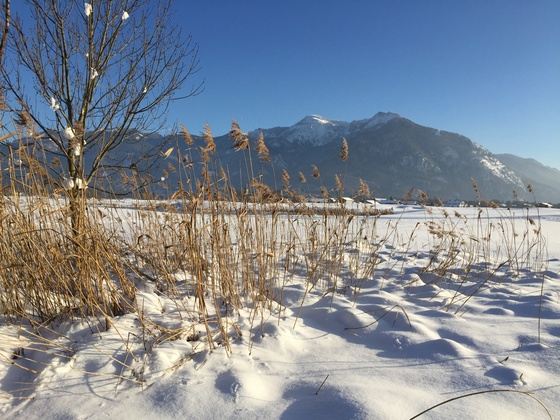 Blick auf Hochgern