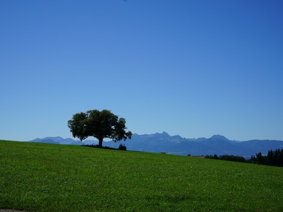 Blick in die Mangfalltaler und Inntaler Berge von Bergham
