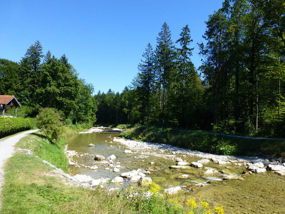 Am Auerbach zwischen Bad Trißl und Inn