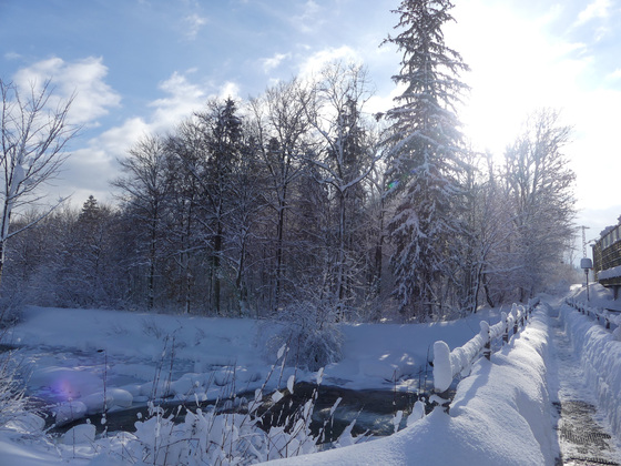 Winterwanderweg am Auerbach an der Bahnbrücke