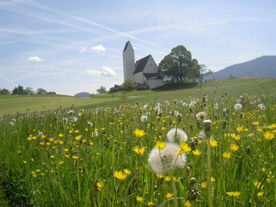 Kirche Steinkirchen
