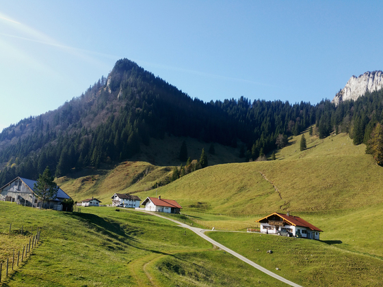Daffnerwald-Almen unterhalb des Heubergs