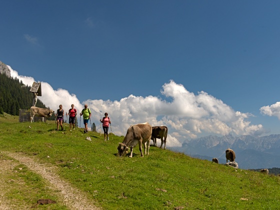 Wandern im Brünnsteingebiet/Himmelmoos Almen