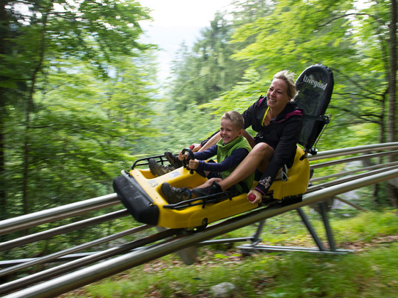 Alpine Coaster - Bild 1