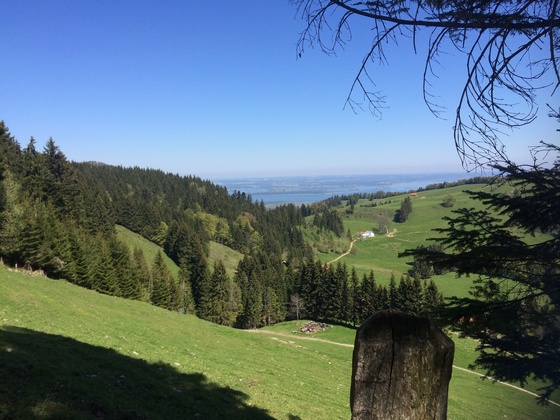 Blick zum Chiemsee