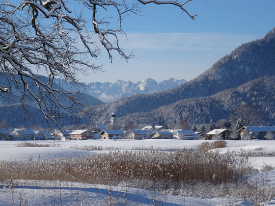 Grassauer Golfplatz Loipe