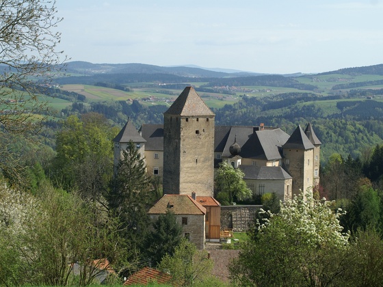 Burg Vichtenstein