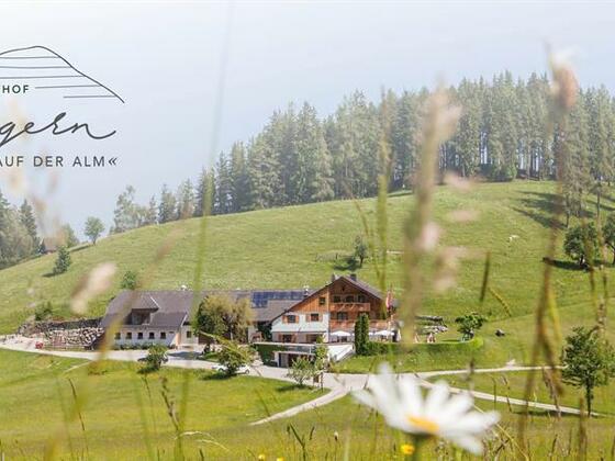 Almgasthof Windlegern