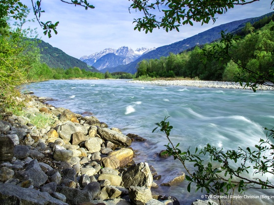 Die Isel im Iseltal