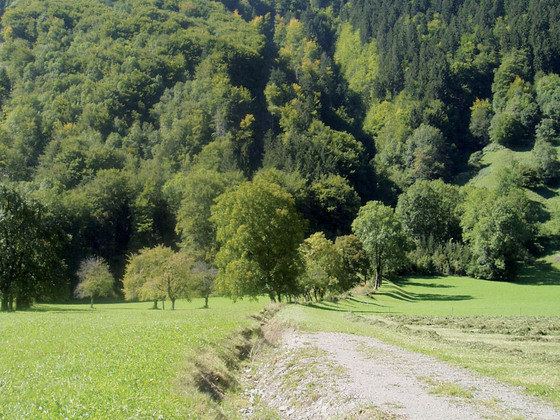 Gluandigraben