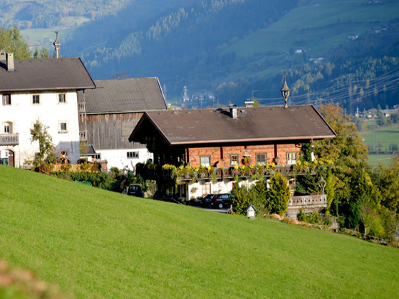 „Natur Pur“ am Reichensberghof