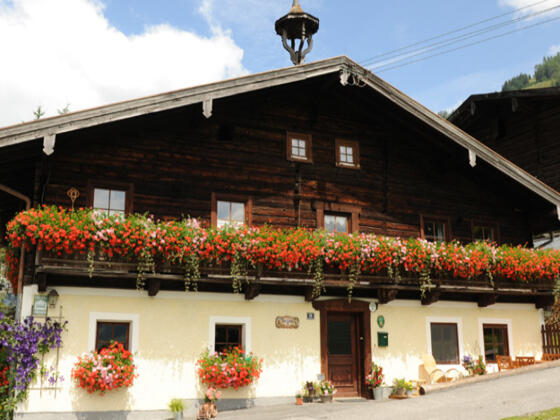 Steinbachhof in Rauris