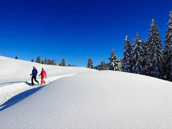 Winterlandschaft