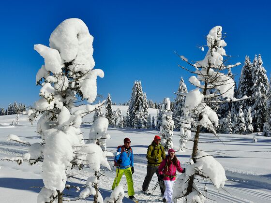 Hemmersuppenalm