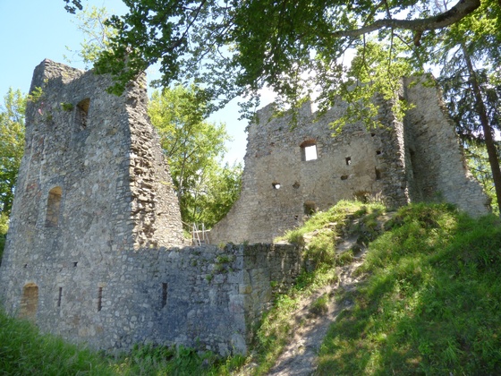 Ruine Alt-Ems