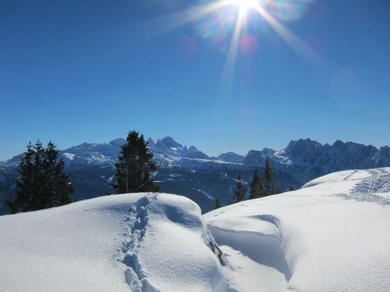 Winterlandschaft