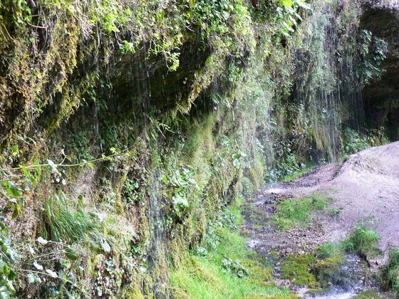 Naturdenkmal Rinnende Mauer