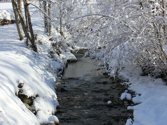 Entlang der Traun