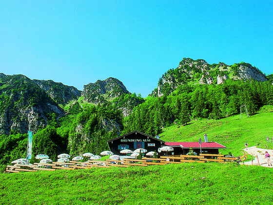 Bründling-Alm